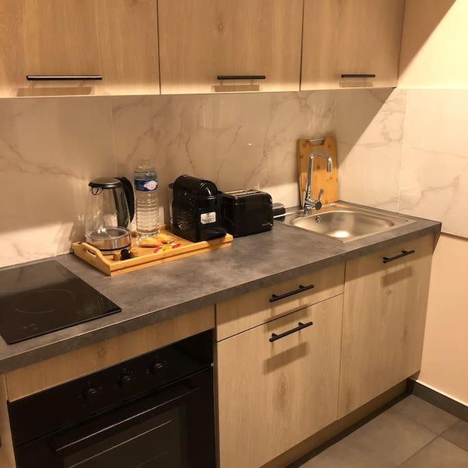 Superbe Appartement Tout Equipe, Le Nid D'Eva A Metz Gare, Parking Prive, Balcon, F2, 50M2, 3P Buitenkant foto