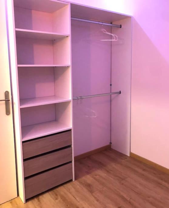 Superbe Appartement Tout Equipe, Le Nid D'Eva A Metz Gare, Parking Prive, Balcon, F2, 50M2, 3P Buitenkant foto