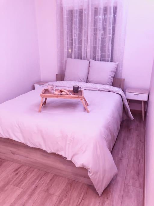 Superbe Appartement Tout Equipe, Le Nid D'Eva A Metz Gare, Parking Prive, Balcon, F2, 50M2, 3P Buitenkant foto