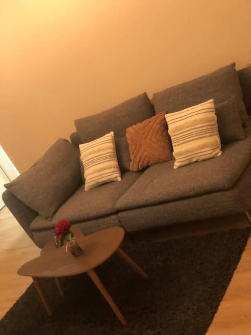 Superbe Appartement Tout Equipe, Le Nid D'Eva A Metz Gare, Parking Prive, Balcon, F2, 50M2, 3P Buitenkant foto